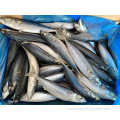 Pescado de caballa del Pacífico congelado 200-300G 300-500G Precio